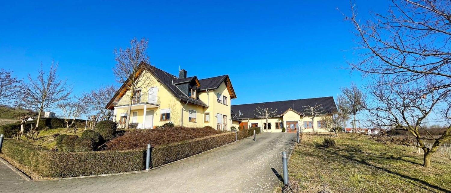 weingut_engelmann_slider1